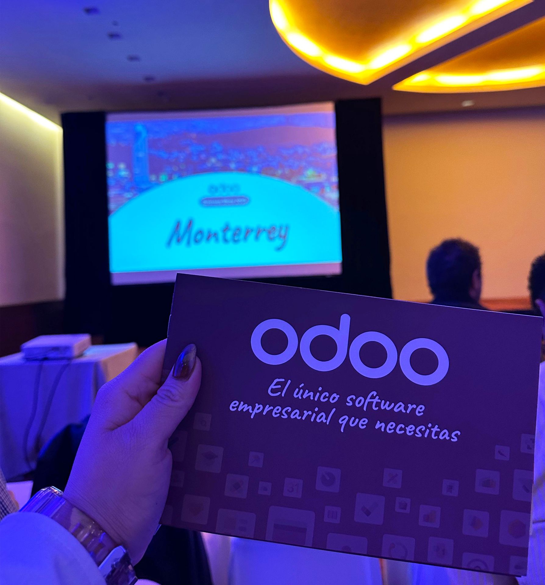 Odoo business show morado